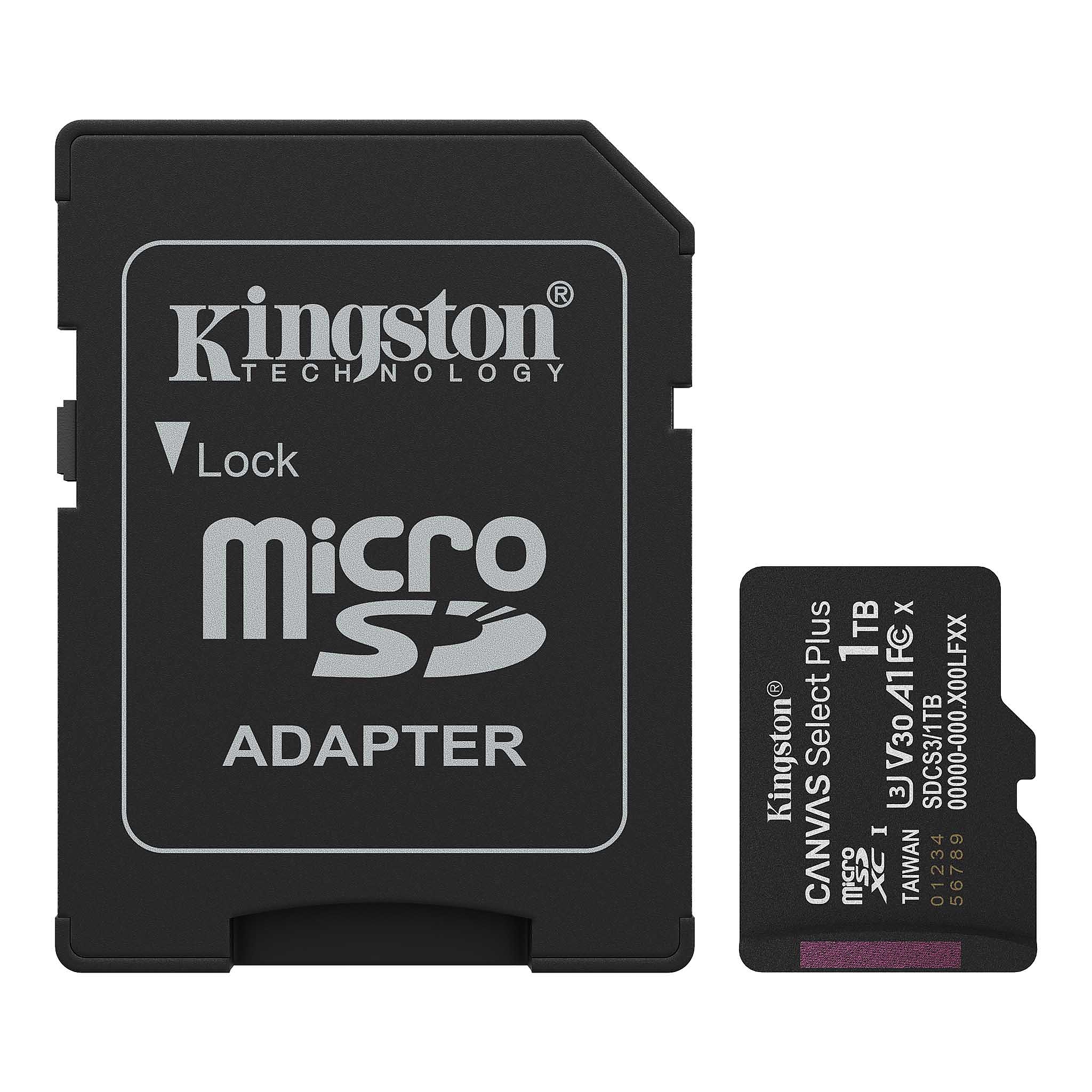 1TB SDMIC KINGS CANVAS SEL+ A1