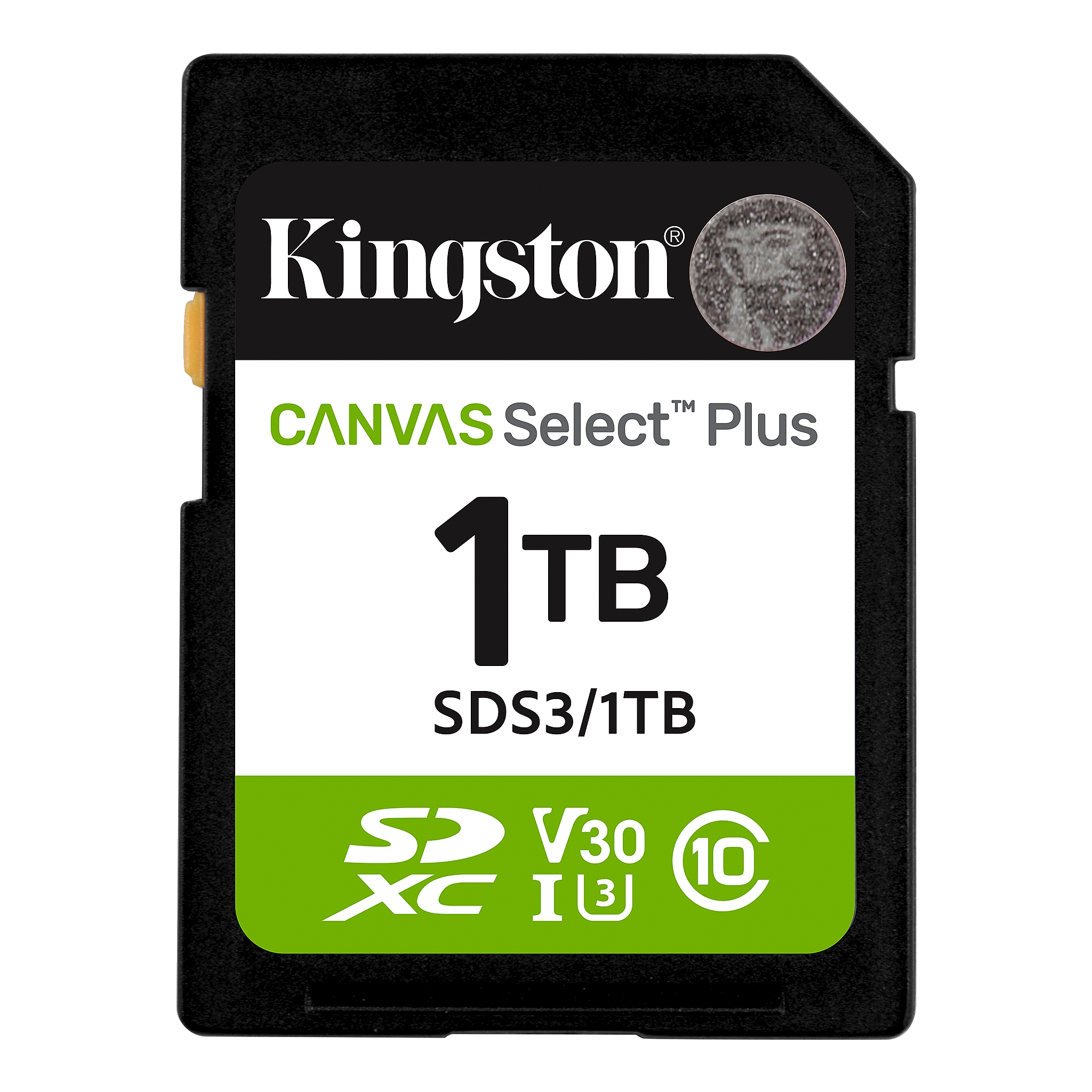 1TB SD KINGST CANVAS SEL+ G3