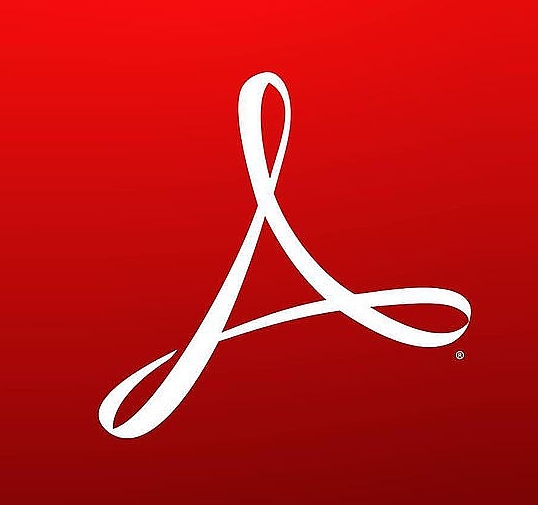 Acrobat Standard for teams 1 user 1 year
