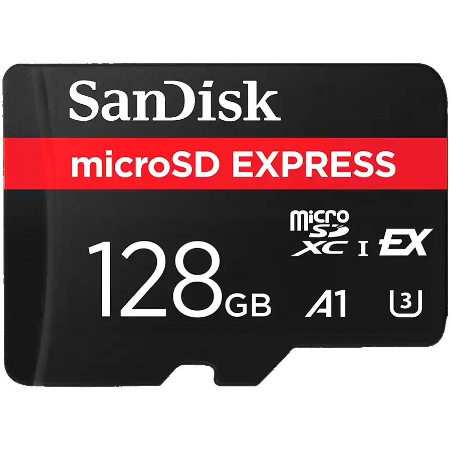 SANDISK Express microSD Card, 256GB