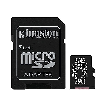 256G SDMIC KINGST SDCS2