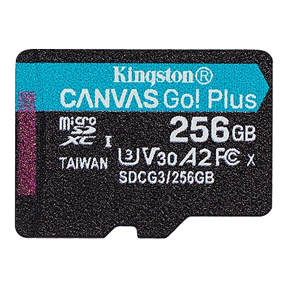 256G SDMIC KINGST GO+ SDCG3