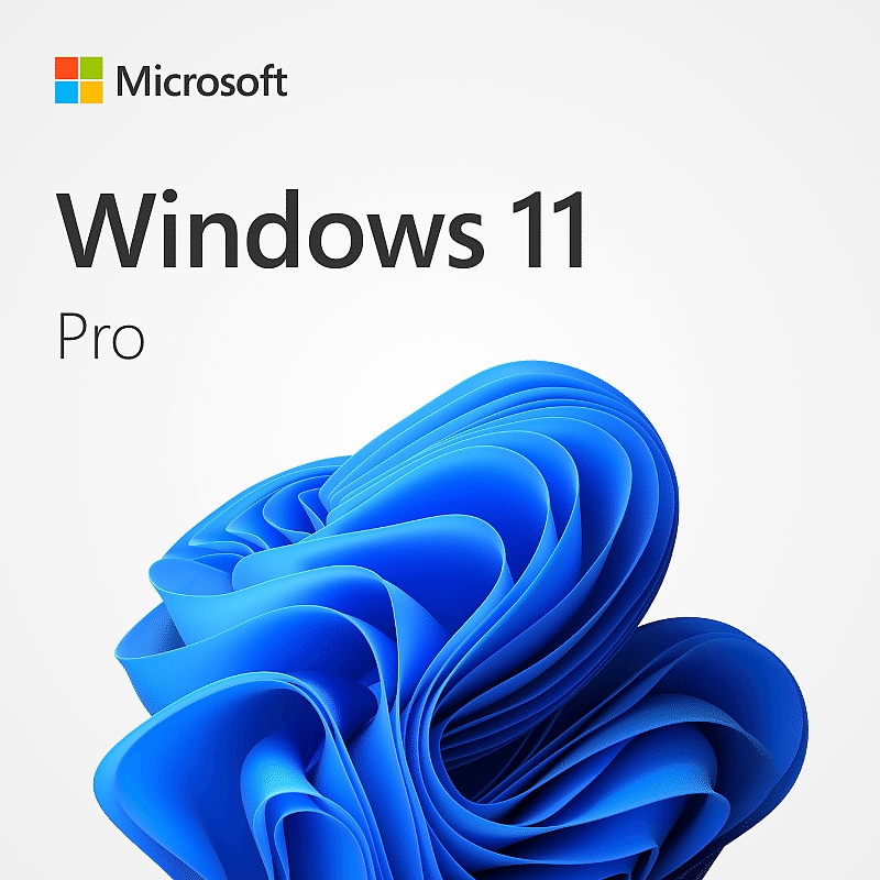 Windows 11 Pro DL