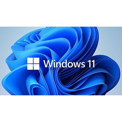 Microsoft Windows 11 Home GGK 64Bit English 1pk DSP ORT OEI DVD