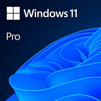 Win 11 Pro 64Bit Bulgarian 1pk DSP OEI DVD