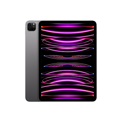 Apple 11-inch iPad Pro (4th) Wi-Fi 256GB - Space Grey