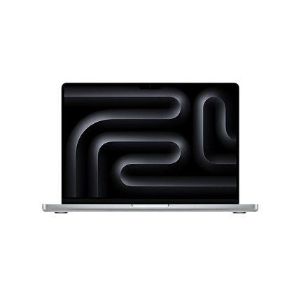 Apple 14-inch MacBook Pro: Apple M4 chip with 10-core CPU and 10-core GPU, 24GB, 1TB SSD - Silver