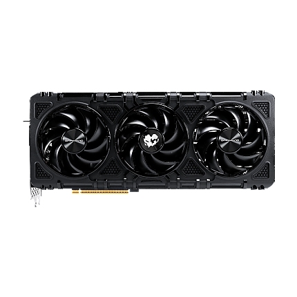 PALIT RTX5090 PHANTOM GS 32G