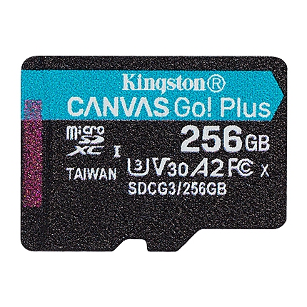 256G SDMIC KINGST CANVAS GO+