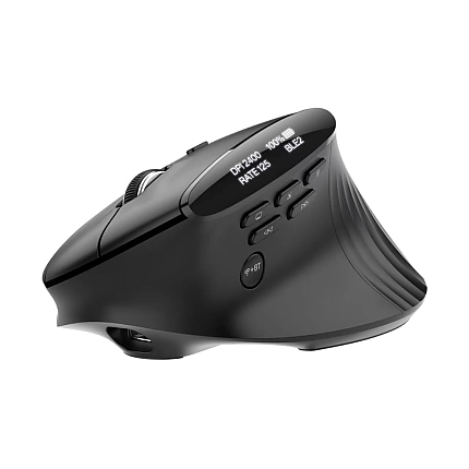 Acer Smart Fit Wireless Mouse, RF 2.4 GHz dongle, Bluetooth 5.0, Wired , 10 Buttons, DPI 8000, 90g , Black with RGB strip