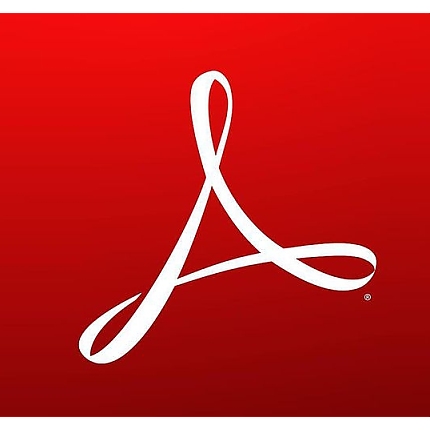 Acrobat Standard for teams 1 user 1 year