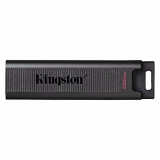 USB п°мµ‚ KINGSTON DataTraveler Max, 256GB, USB-C 3.2 Gen 2, §µрн°