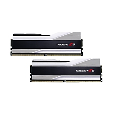 Memory G.SKILL Trident Z5 Silver 32GB(2x16GB) DDR5 PC5-48000 6000MHz CL40 F5-6000J4040F16GX2-TZ5S