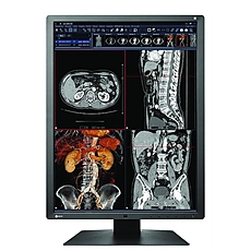 Medical Monitor EIZO RadiForce RX250 2MP, Color