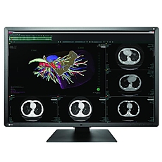 Medical Monitor EIZO RadiForce RX660 6MP Цветен