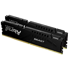 2X1G DDR5 5600 KING FURY BEAST