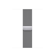 Apple 41mm Silver Milanese Loop