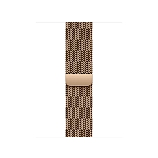 Apple Watch 40mm Milanese Loop: Gold Milanese Loop
