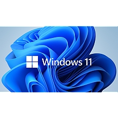 Windows 11 Pro for Wrkstns 64Bit English 1pk DSP OEI DVD