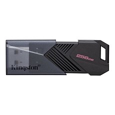 256GB 3.2 KINGSTON / DTXON