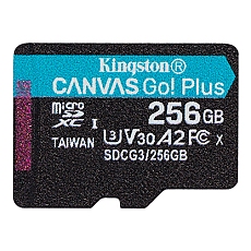256G SDMIC KINGST GO+ SDCG3