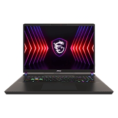 MSI VECTOR 17 HX A13VHG-693BG