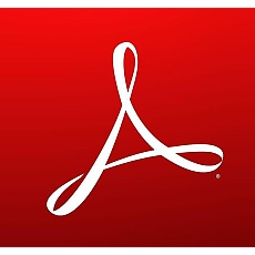 Adobe Acrobat Standard for teams 1 user 1 year