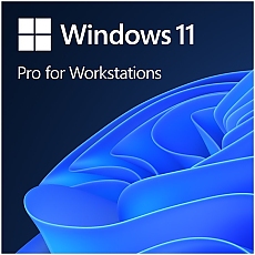 Win 11 Pro GGK 64Bit Eng Intl 1pk DSP ORT OEI DVD