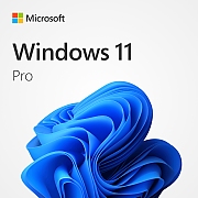 Windows 11 Pro DL